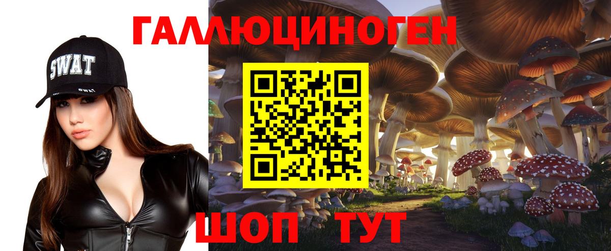 Псилоцибиновые грибы Magic Shrooms  Вход с VPN  Елабуга 